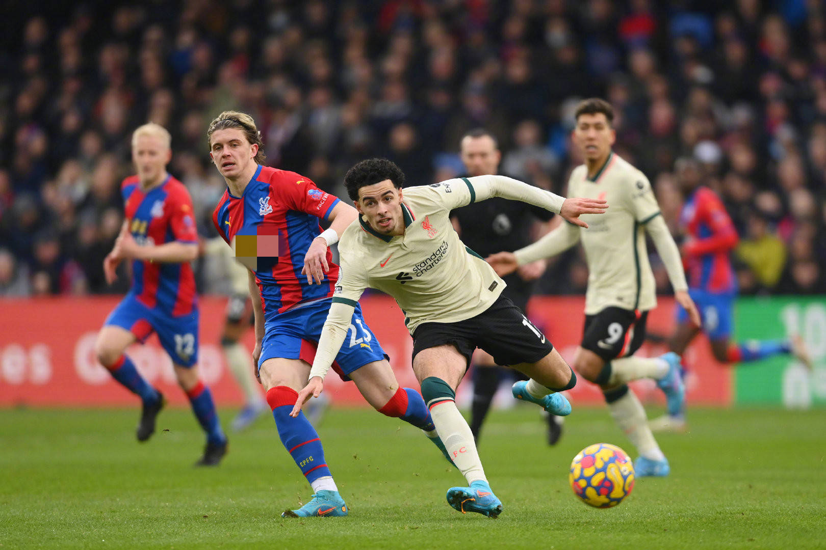 关注的国际 关注的国际